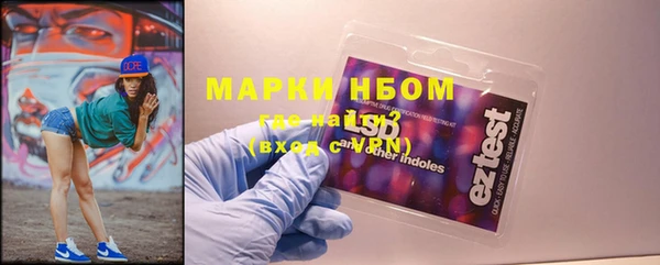 PSILOCYBIN Белокуриха
