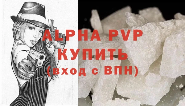 PSILOCYBIN Белокуриха