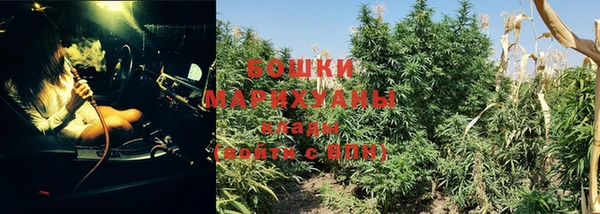 мяу мяу мука Белоозёрский