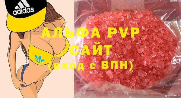PSILOCYBIN Белокуриха