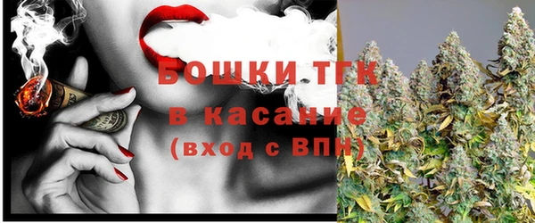 PSILOCYBIN Белокуриха