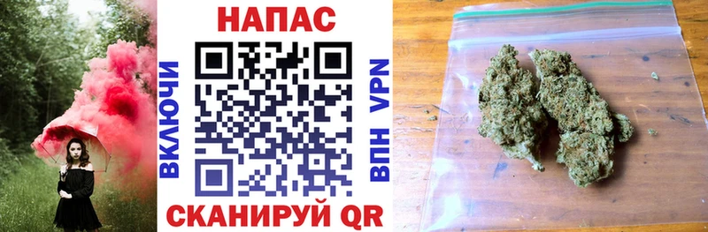МАРИХУАНА план  Купить где  Алупка 